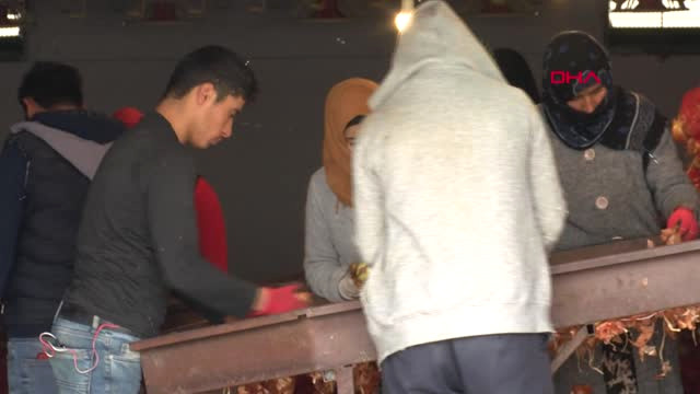 Ankara’da 3 Bakanlık Yetkililerinden ‘Soğan’ Denetimi-1