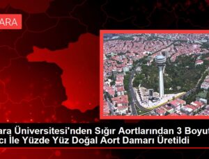 Ankara Üniversitesi’nden Sığır Aortlarından 3 Boyutlu Yazıcı İle Yüzde Yüz Doğal Aort Damarı Üretildi