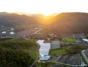 Alova Farm, ABD merkezli Fall Creek ile iş birliği yapıyor