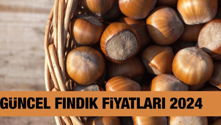 Fındık fiyatı ne kadar, kaç TL 20 Ekim 2024? Trabzon, Ordu, Giresun, Samsun, Sakarya, Düzce şimdiki fındık fiyatları