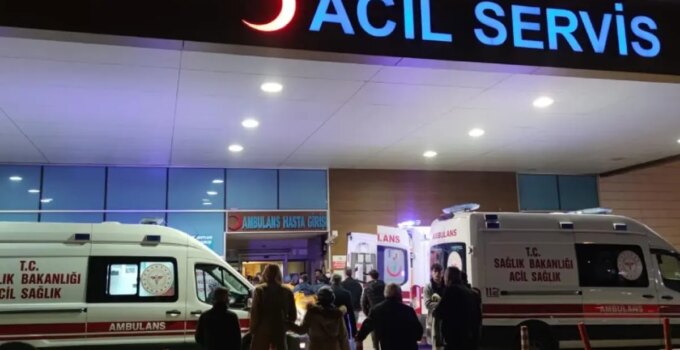 “İstanbul’da kuduz olaylarında patlama” argümanlarına valilikten karşılık