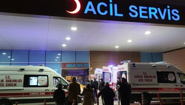 “İstanbul’da kuduz olaylarında patlama” argümanlarına valilikten karşılık