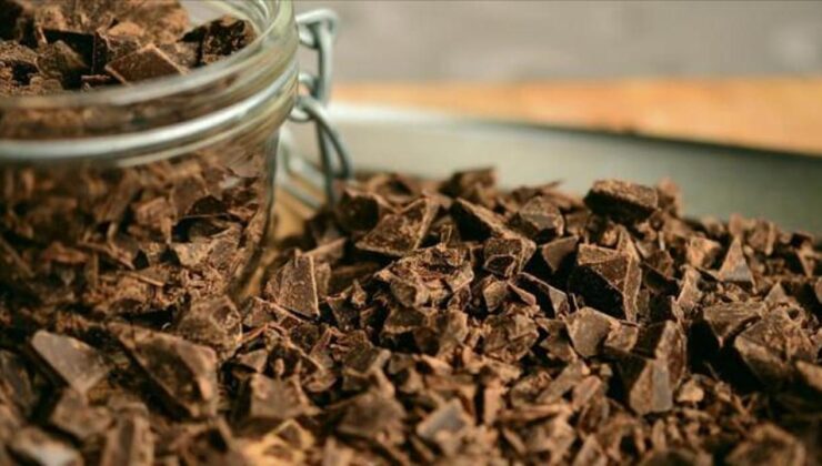 Türkiye yetiştirmediği kakaodan 1,7 milyar dolar kazandı: Sayılar ikiye katlandı