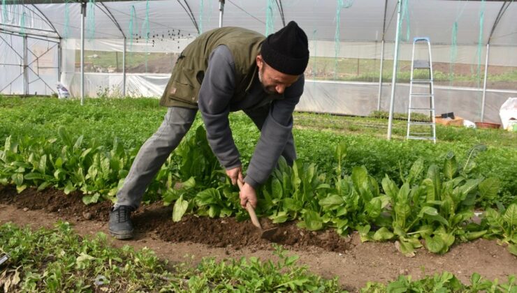 Devlet dayanağıyla kurmuştu: Artık 7 kişilik ailesine bakıyor!