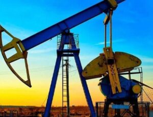 TPAO hakkında yeni petrol kararı! Müddet uzatıldı