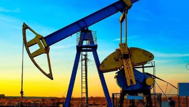 TPAO hakkında yeni petrol kararı! Müddet uzatıldı