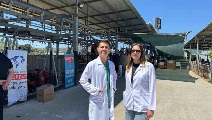 Yetkili ve kontratlı veteriner doktor uygulaması Aydın’da muvaffakiyetle uygulandı